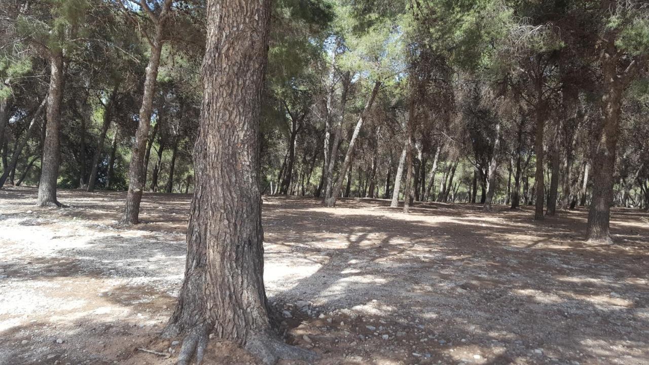 Semi-Detached Adosado Con Encanto -130 M2 - Wifi 600 Mb - Piscina Comunitaria - Patio Privado Torremolinos Eksteriør bilde